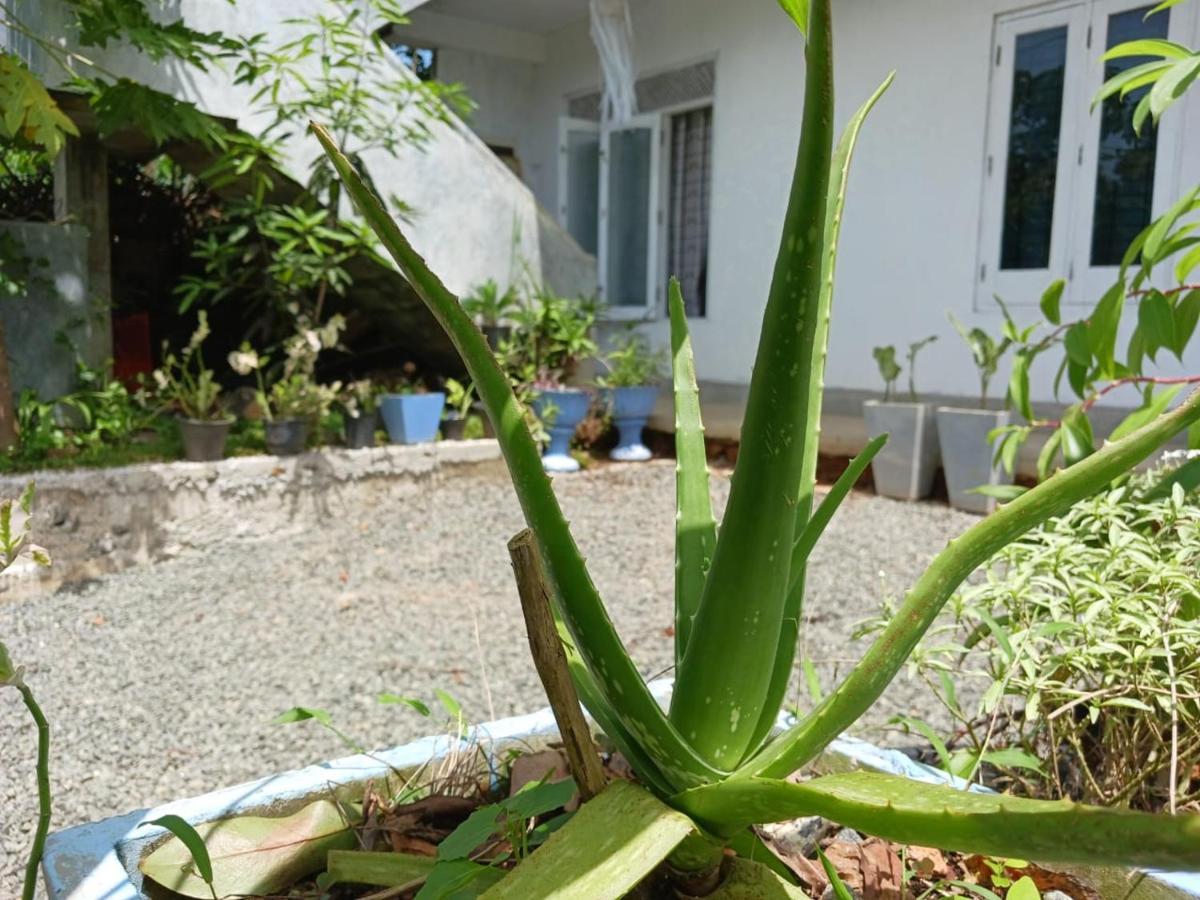 Villa Diamond Nest Unawatuna Exterior photo